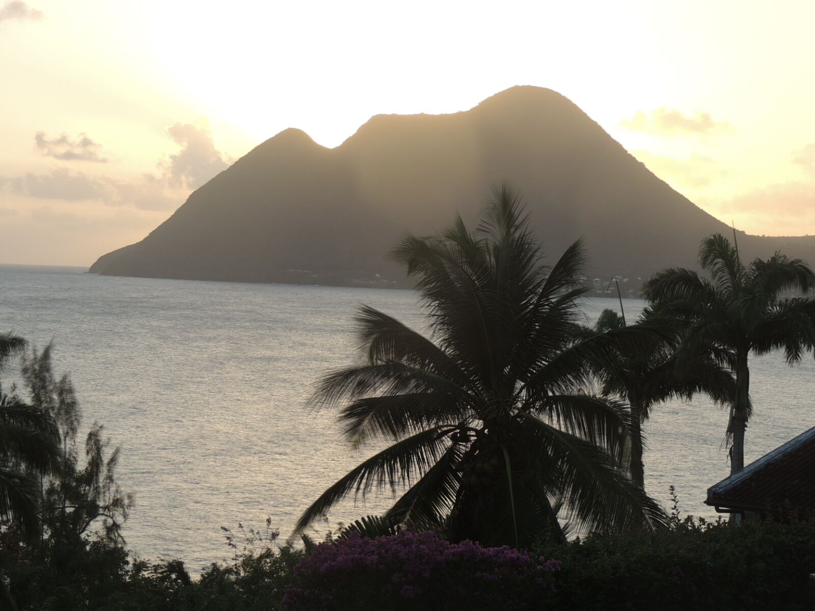 A coastal view with a mountain, palm trees, and a body of water.