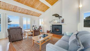 Télévision, cheminée, livres, chaîne hi-fi