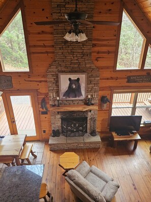 Smart TV, fireplace, DVD player, books