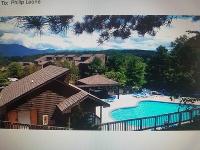 Beautiful Smoky Mtn Condo BestViews Hotub WIFI