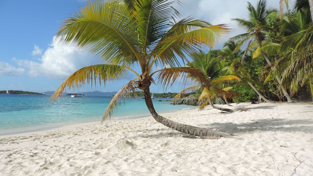 A beach with white sand, palm trees, and clear blue water. - Grande Bay Resort Condo - Come Stay at 'Sunsets and Breezes' (Cruz Bay)