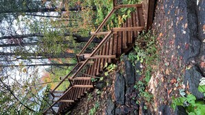 A wooden staircase leading up a rocky path surrounded by trees with autumn leaves. - Meech Lake peaceful retreat (Chelsea)