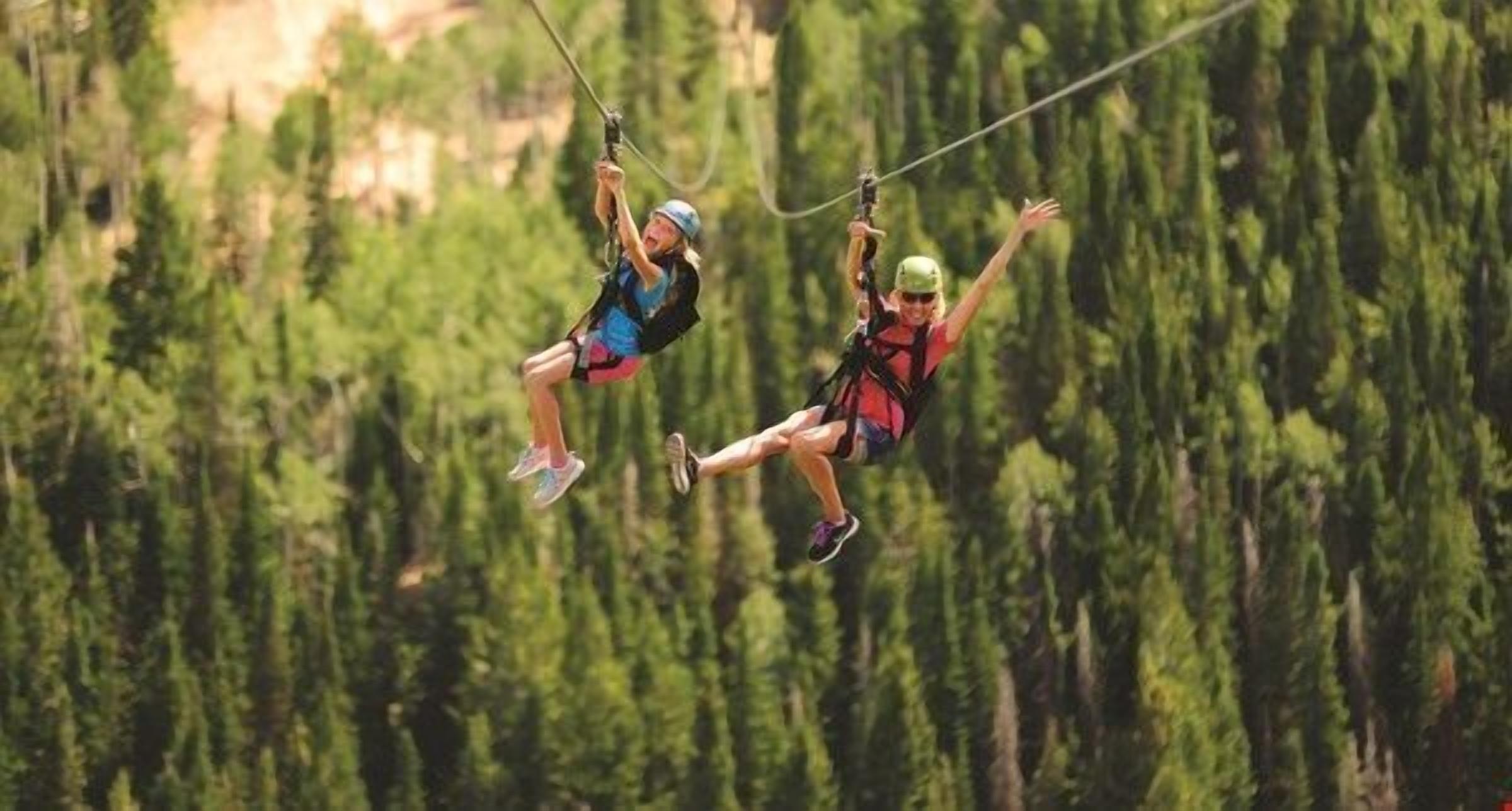 Two people ziplining over a forested area.