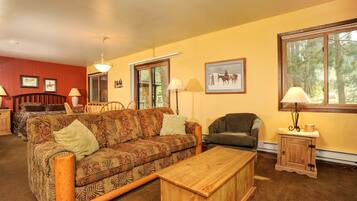 TV, fireplace, DVD player