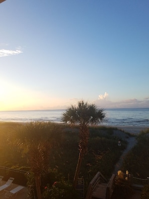 On the beach, sun loungers, beach towels - Fantastic sea views (North Myrtle Beach)