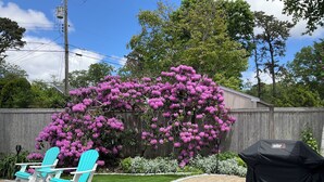 Una terraza de madera con sillas Adirondack, una parrilla y un árbol en flor.
