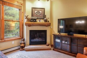 TV, peis og DVD-spiller