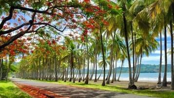 Sun loungers, beach towels