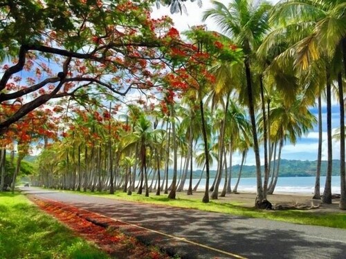 Beautiful Villa, private pool, amazing gardens! Walkable 5 bedrooms