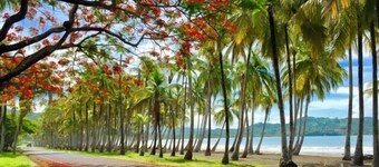 Beautiful Villa, private pool, amazing gardens! Walkable 5 bedrooms