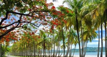 Beautiful Villa, private pool, amazing gardens! Walkable 5 bedrooms