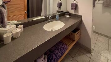 Chuveiro, secador de cabelo, toalhas de banho, papel higiênico