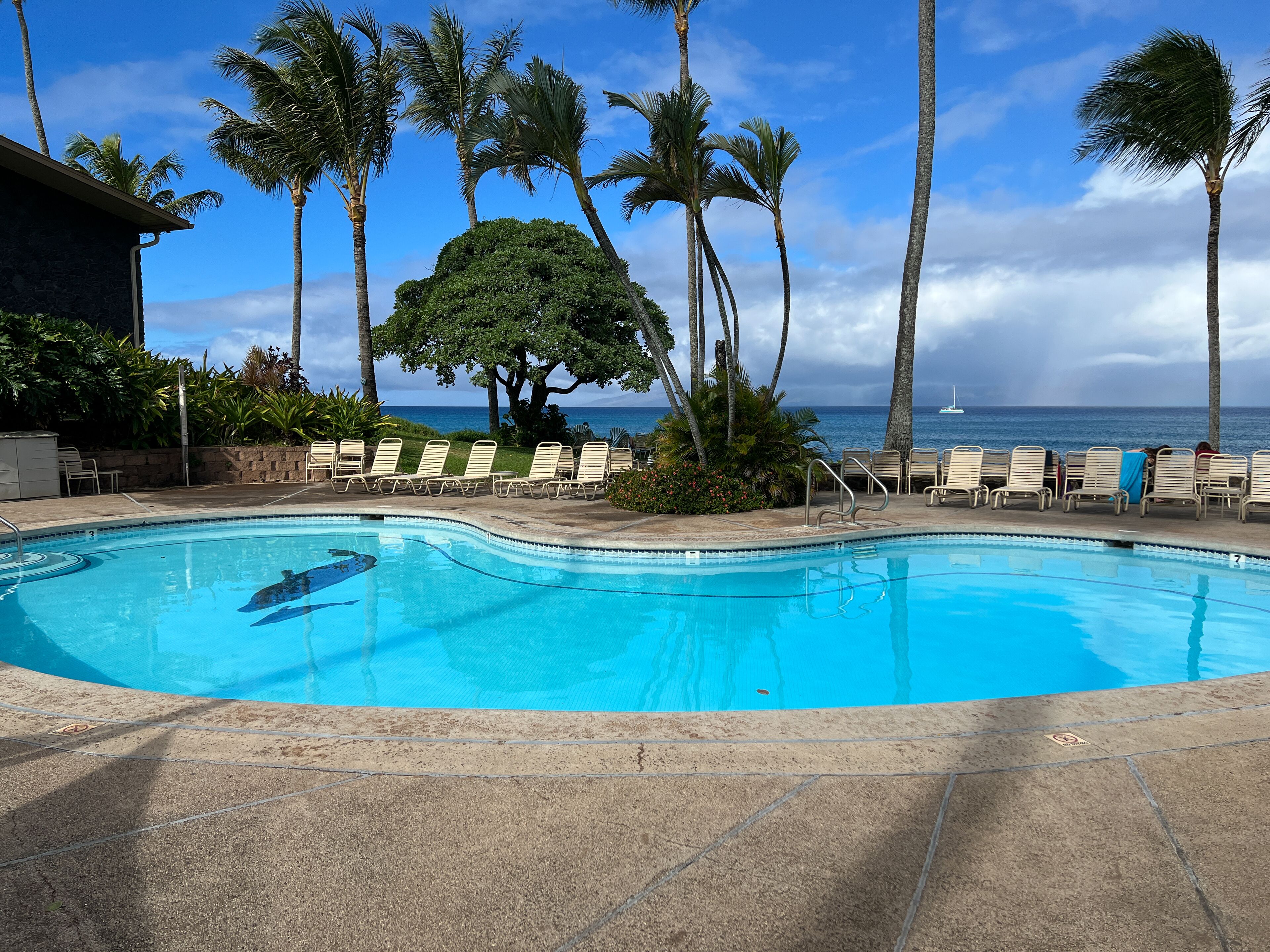 Piscina externa, piscina aquecida