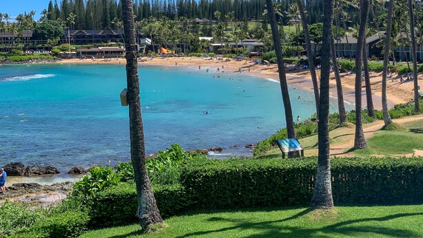 Una playa con agua turquesa cristalina, palmeras y una vista de una zona turística al fondo.