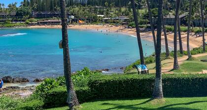 Napili Shores A-201 - Ocean Front - Book Now!