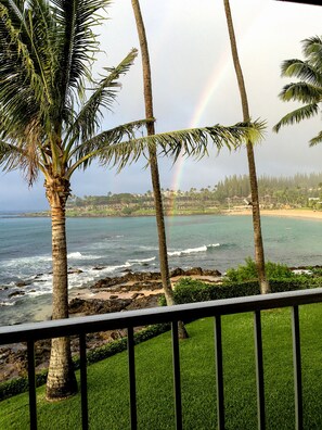 Property grounds - Napili Shores A-201 - Ocean Front - Book Now! (Lahaina)