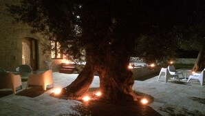 Un árbol con luces en la base, asientos al aire libre y un edificio de piedra al fondo.
