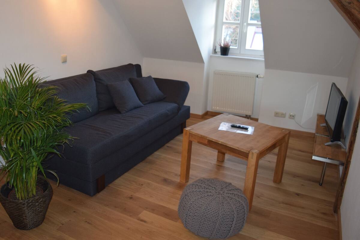 Leilighet – comfort, privat bad (W6) | 1 soverom