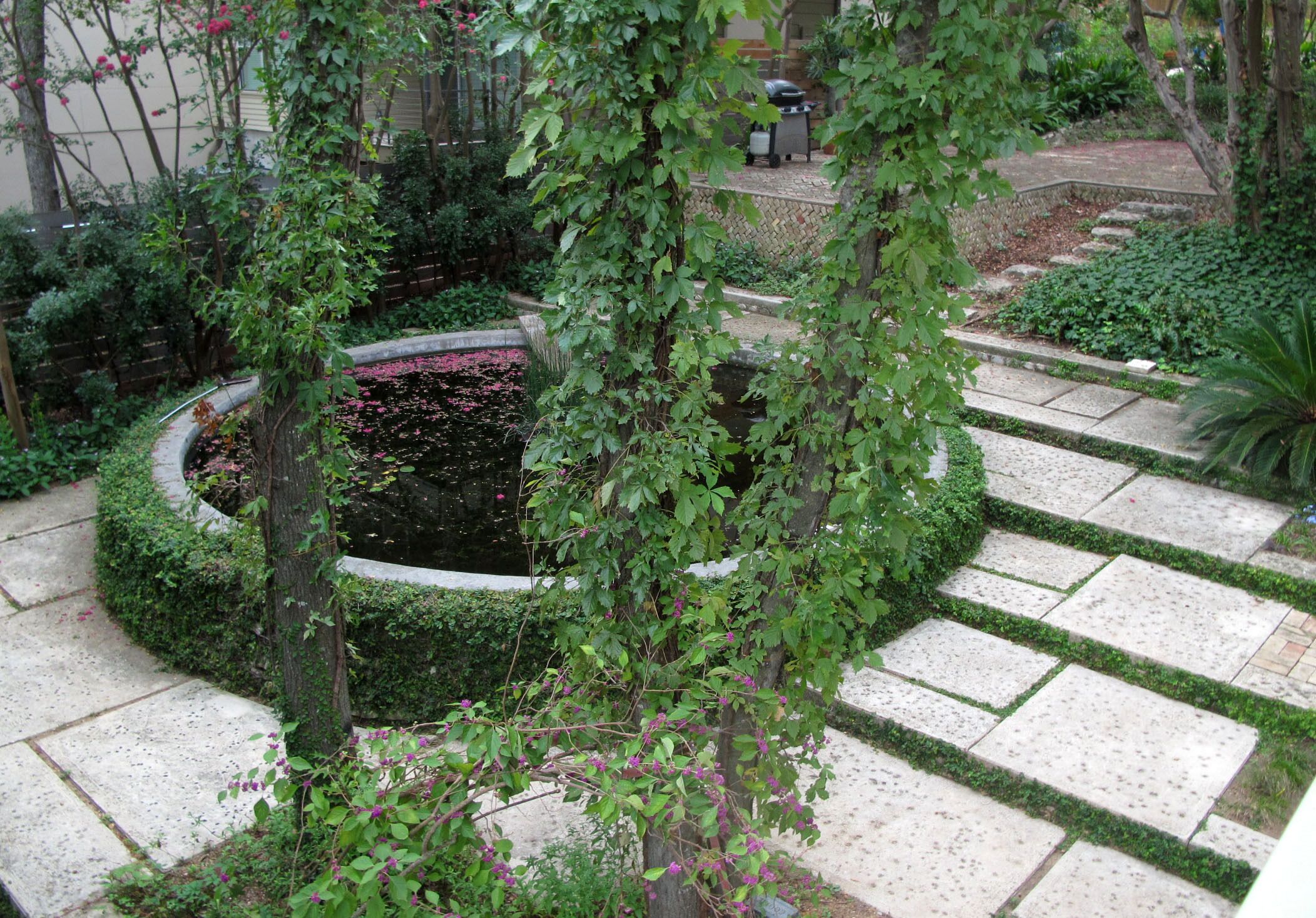 A garden with a circular pond, stone pathways, and various plants.