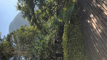 Área da propriedade