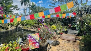A garden with a pond, colorful prayer flags, and a sign that says "LOVE ALWAYS WIN." - Clothes optional Tranquil Private room Paradise. In Fort Lauderdale. LGBTQ+ ❤️ (Oakland Park)