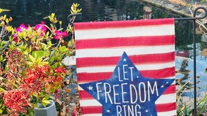 A garden with a pond, a statue, and a flag with 'LET FREEDOM RING' text. - Clothes optional Tranquil Private room Paradise. In Fort Lauderdale. LGBTQ+ ❤️ (Oakland Park)