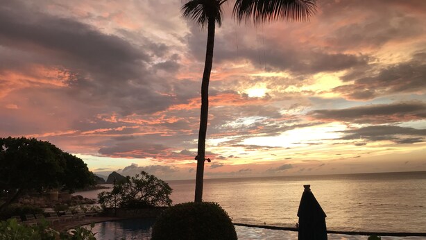 A sunset view over a body of water with a palm tree and a pool area.