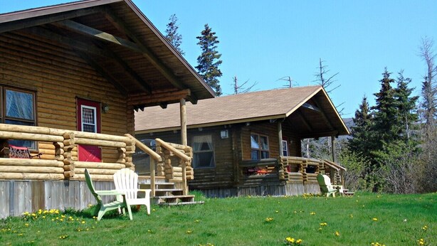 Une cabane en rondins dotée d’une véranda et d’un espace abrité, entourée d’un champ verdoyant et d’arbres.