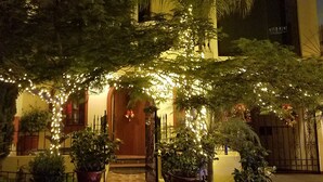 Un edificio de varios pisos con una entrada central, rodeado de plantas en macetas e iluminación decorativa.
