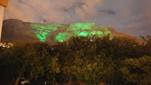 A mountain with a green light projection, surrounded by dense foliage.