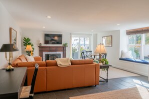 Smart TV, fireplace, books