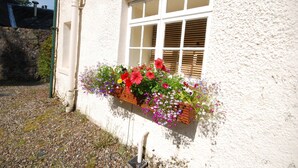 A white building with a window and a flower box filled with various flowers. - Holly Cottage is ideal for families of 4, with outdoor seating (Taynuilt)