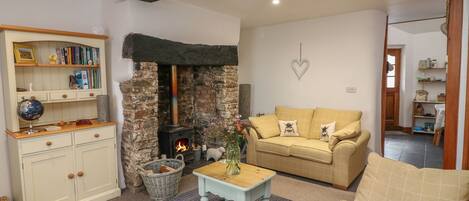 Smart-tv, pejs, dvd-afspiller, bøger