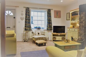 Smart TV, fireplace, DVD player, books