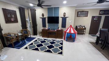 49-inch flat-screen TV with satellite channels, LED TV