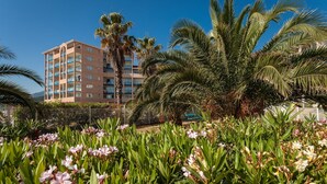 Un hôtel doté d’un immeuble à plusieurs étages, de palmiers et d’un jardin fleuri.