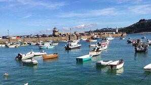 Un puerto deportivo con varias embarcaciones amarradas y agua cristalina.