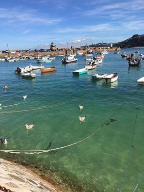 Unclassified image, 5 of 61, button