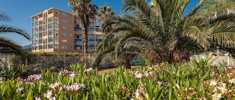 Un hôtel doté d’un immeuble à plusieurs étages, de palmiers et d’un jardin fleuri.