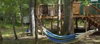 Tømmerhytte på Canoochee-elven