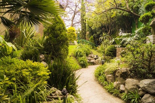 Property grounds - GARDEN HOUSE, WELCOME TO SAN ANGEL NEIGHBOURHOOD (Campestre)