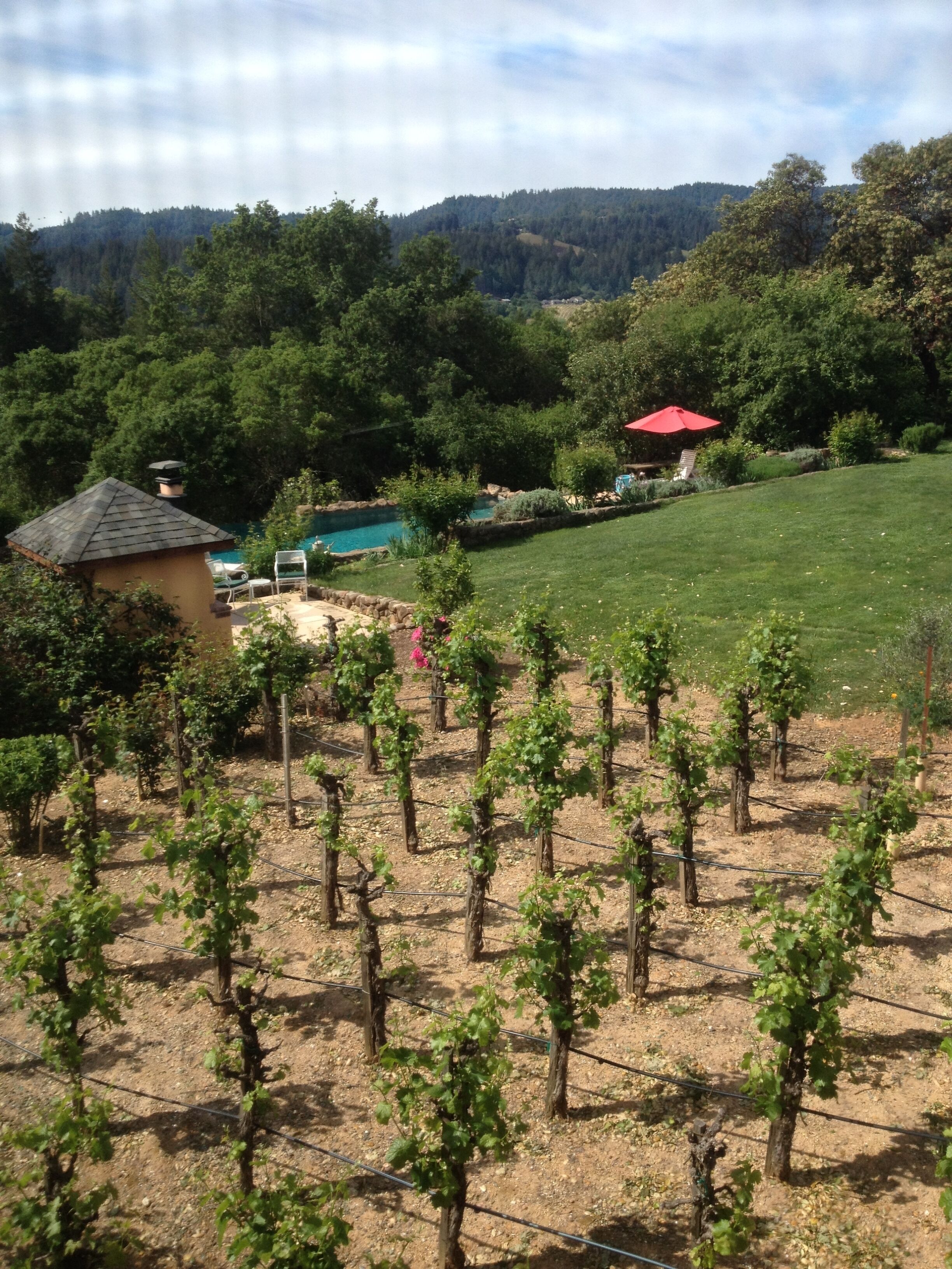 Wine country getaway; stay in a winery
