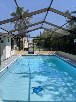 Outdoor pool, a heated pool