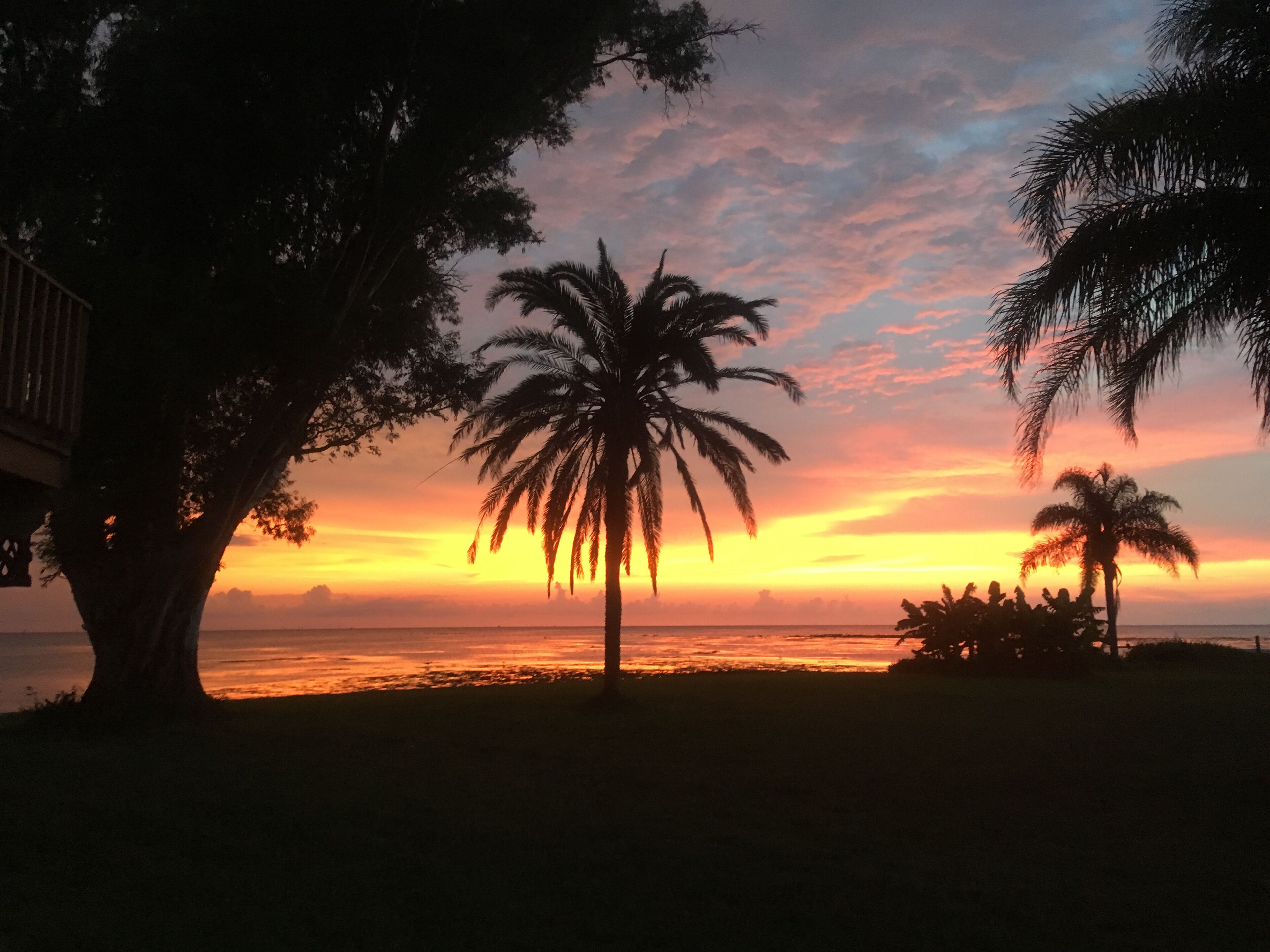 Tramonto su una spiaggia con palme e una struttura in legno.