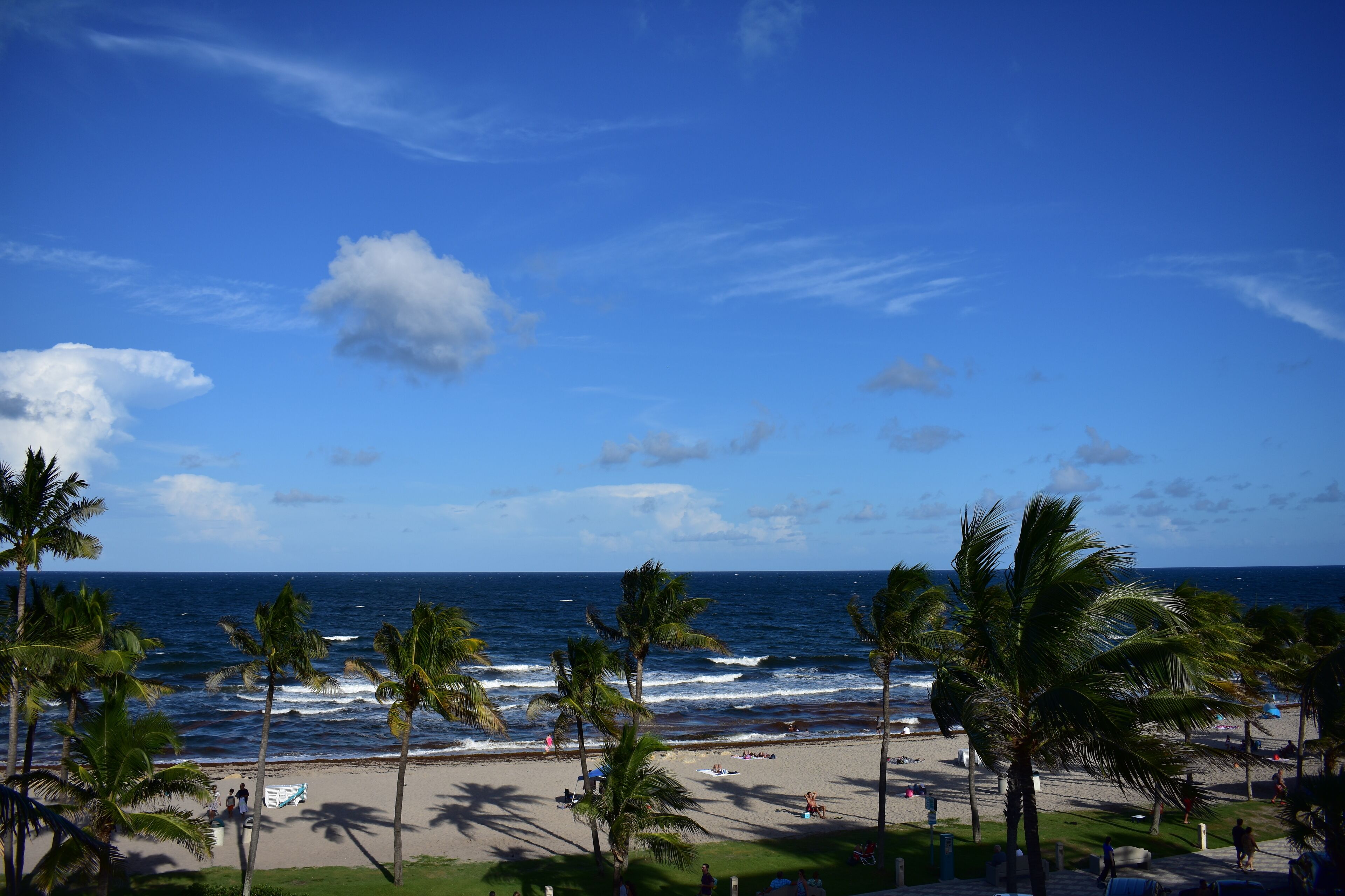 Beachfront! Direct Ocean! as Close as You Can Get to Dfb Pier!