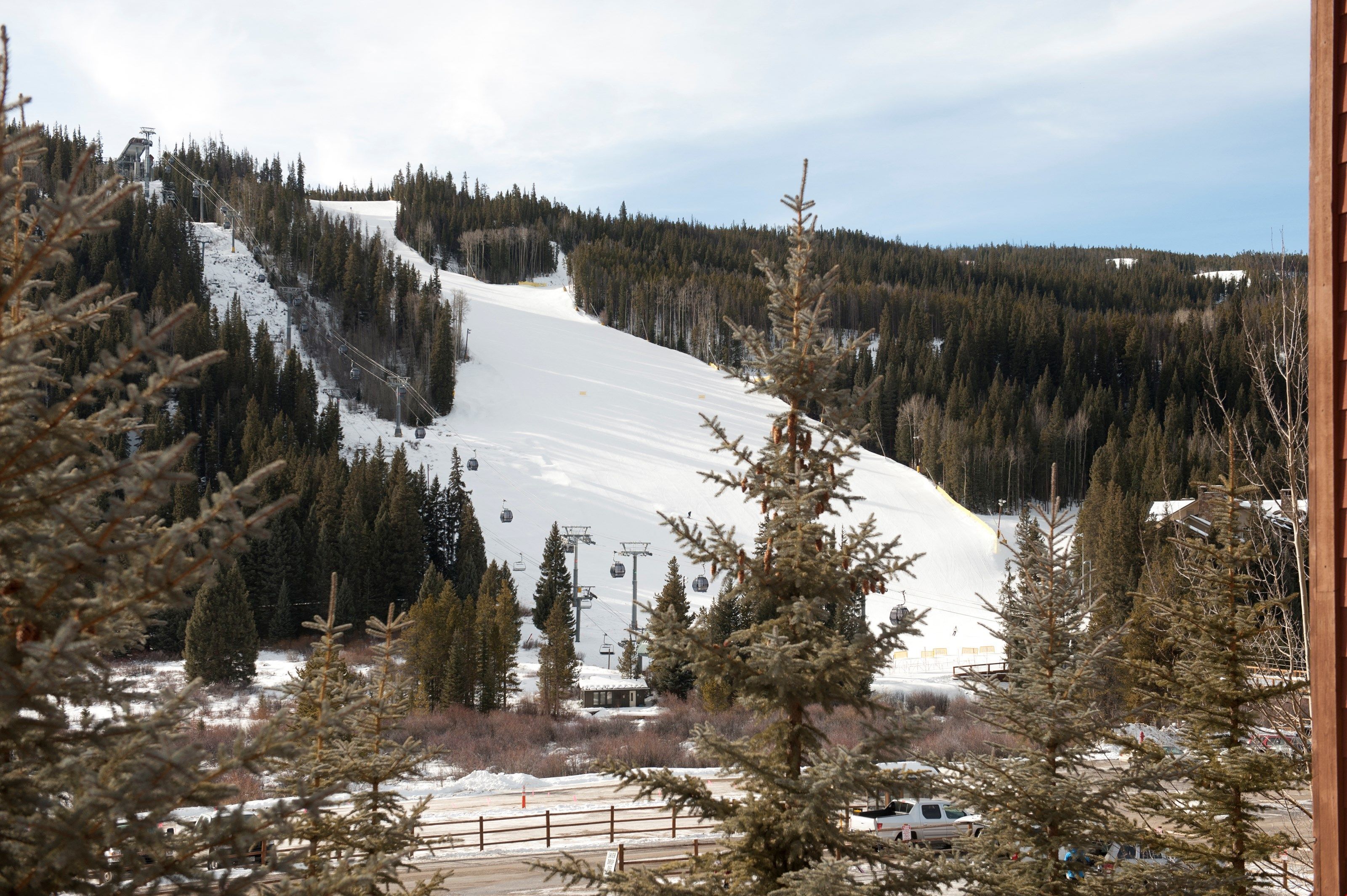 Une piste de ski enneigée, avec un télésiège et une forêt environnante.