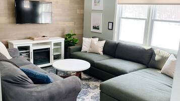 TV connectée, cheminée, lecteur de DVD, livres