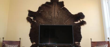 Una habitación con un tapete de piel grande en la pared, un televisor de pantalla plana sobre un mueble bajo y dos sillones con cojines estampados.