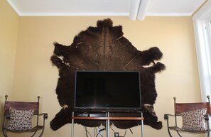 Fernseher
