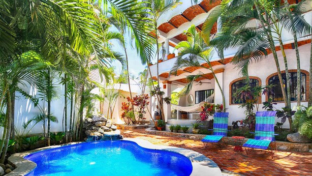 A swimming pool with a white deck, surrounded by palm trees and plants. There are lounge chairs and a hammock in the background.